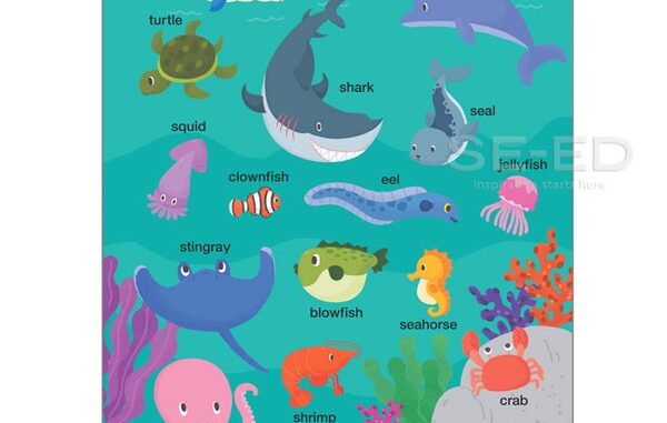 โปสเตอร์พลาสติก Sea Animals (Talking Pen)