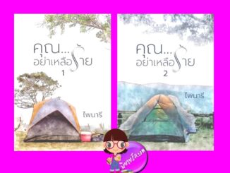 คุณอย่าเหลือร้าย เล่ม 1-2 (จบ) ไพนารี ทำมือ