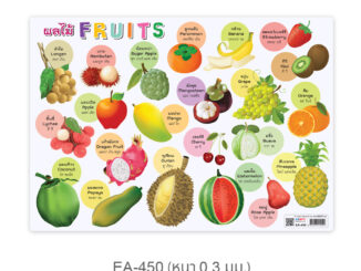 โปสเตอร์พลาสติกขนาด A4 ผลไม้Fruits EA-450