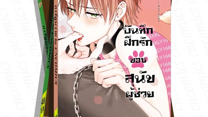 การ์ตูนวาย B2 บันทึกฝึกรักของสุนัขผู้ช่วย