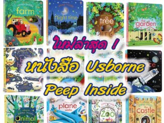 พร้อมส่ง  Usborne Peep Inside Book หนังสือภาษาอังกฤษ นิทาน สำหรับเด็ก เสริมพัฒนาการลูกน้อย