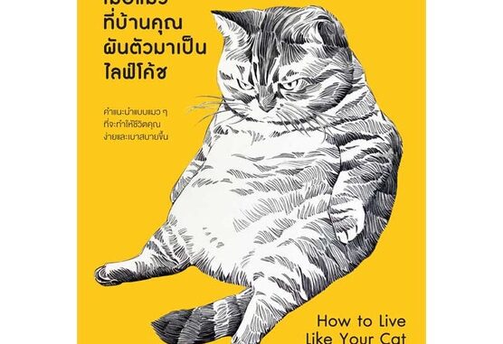 หนังสือ เมื่อแมวที่บ้านคุณผันตัวมาเป็นฯ  # จิตวิทยา พัฒนาตนเอง