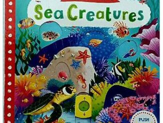 ดึง Sea Creatures (push pull slide board book) เหมาะสำหรับ 1+ กระดาษแข็งหนาทุกหน้า