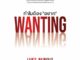 หนังสือ #WANTING ทำไมต้อง "อยาก" LUKE BURGIS เขียน พชร สูงเด่น แปล