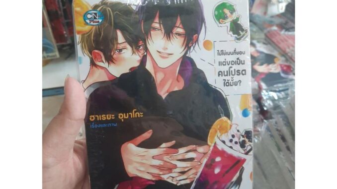 ไม่ใช่เมนที่ชอบแต่ขอเป็นคนโปรดได้มั้ย เล่มเดียวจบ การ์ตูนวาย หนังสือการ์ตูนวาย BL มังงะ มือหนึ่ง cn