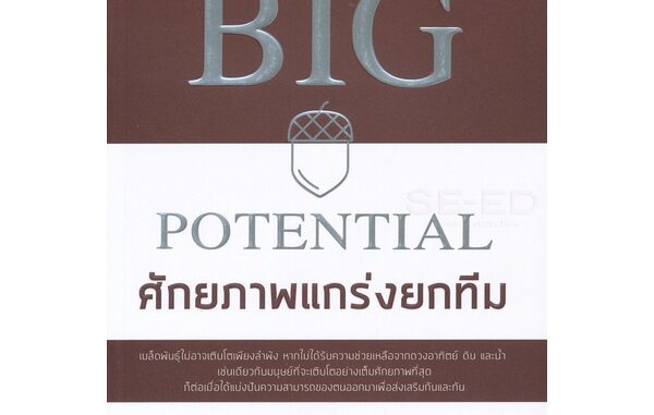 Bundanjai (หนังสือราคาพิเศษ) Big Potential ศักยภาพแกร่งยกทีม (สินค้าใหม่ สภาพ 80-90%)