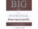 Bundanjai (หนังสือราคาพิเศษ) Big Potential ศักยภาพแกร่งยกทีม (สินค้าใหม่ สภาพ 80-90%)