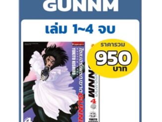 ไซเบอร์เพชฌฆาต GUNNM เล่มที่ 1-4 (แบบชุด)