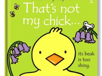 DKTODAY หนังสือ USBORNE THAT'S NOT MY CHICK (AGE 3+ MONTHS)