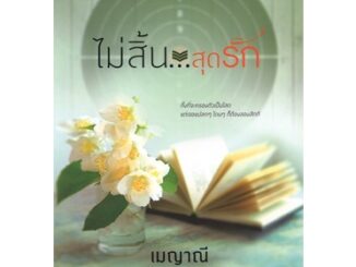 สถาพรบุ๊คส์ ออนทัวร์ หนังสือราคาพิเศษ ซีรีส์ตรงนี้..ที่รัก : ไม่สิ้น...สุดรัก โดย เมญาณี มือหนึ่ง