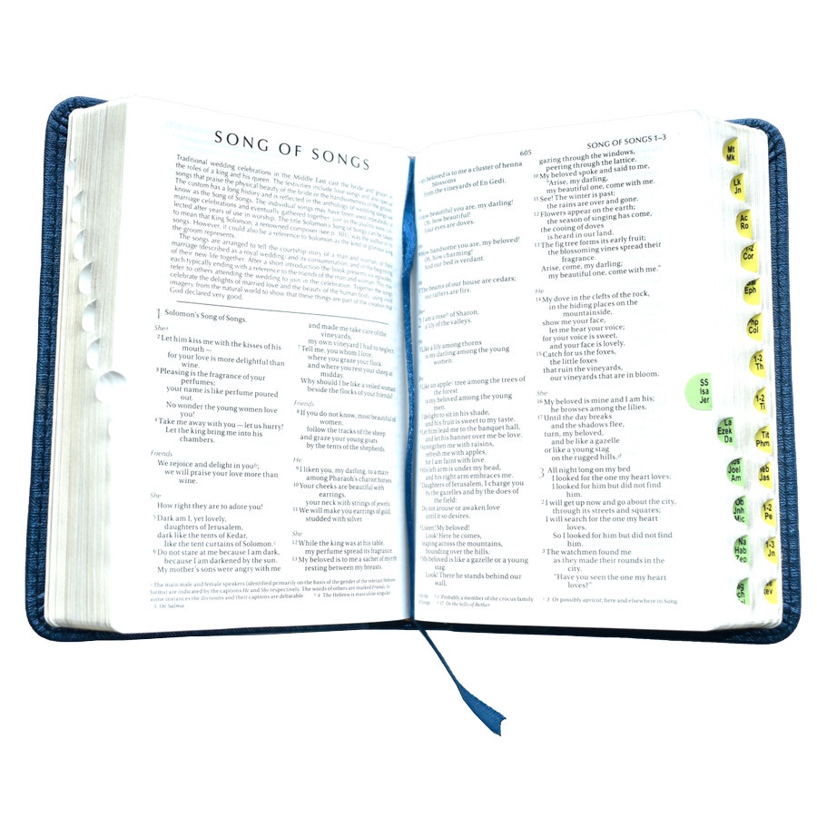 Holy Bible - คัมภีร์ไบเบิล NIV ภาษาอังกฤษ ขนาดเล็ก - TB 034 ขนาดกะทัดรัด