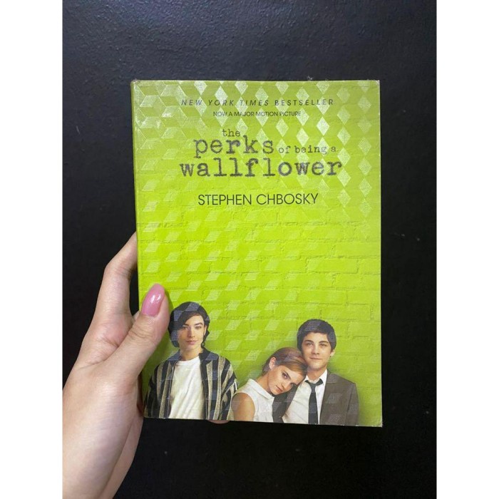 The Perks of Being a Wallflower โดย Stephen Chbosky