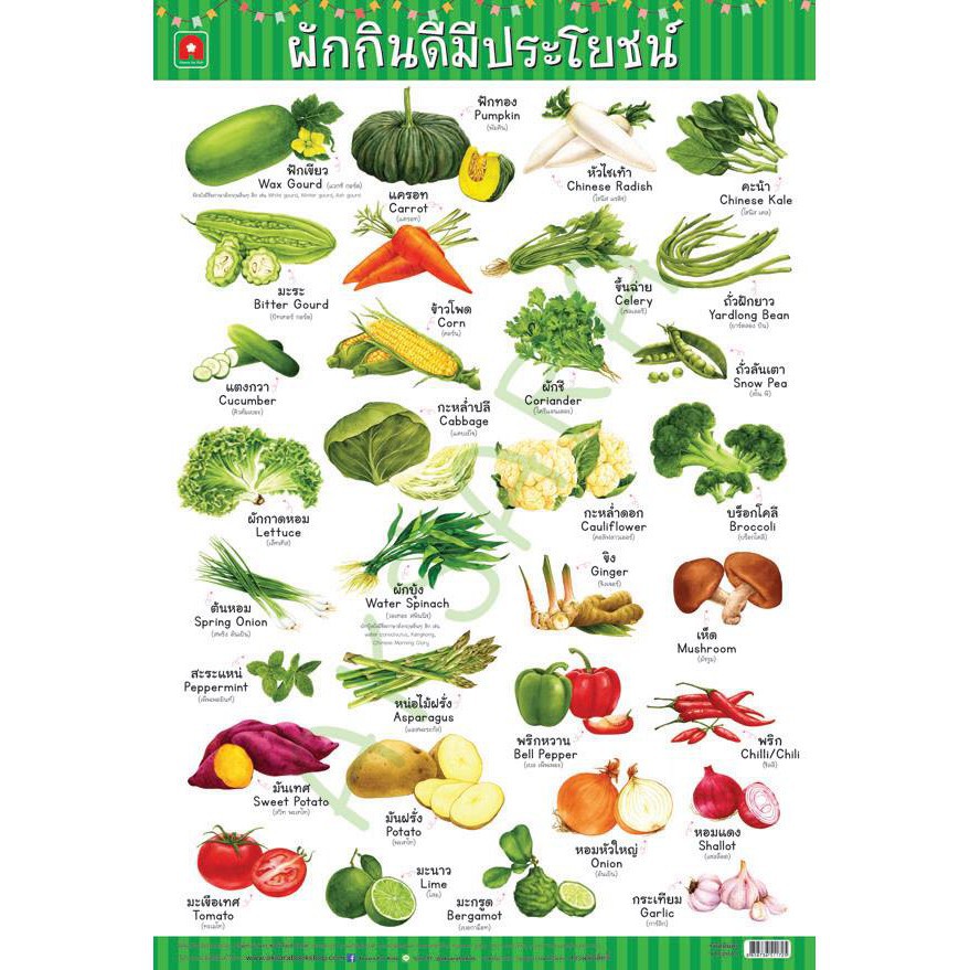 ชุดโปสเตอร์ผัก ผลไม้ สัตว์ 4 แผ่น (อาบเงา)