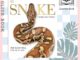 [Querida] Snake : The Essential Visual Guide (2ND) by Chris Mattison