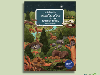 หนังสือสุดวุ่น ท่องโลกในยามค่ำคืน (หนังสือบอร์ดบุ๊ค)