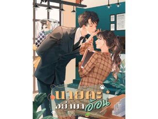 Iny (อินทร์วาย) หนังสือ นายคะ อย่ามาอ้อน