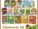 Dickens Flash Cards with AR - บัตรคำศัพท์ภาษาอังกฤษ หมวดสัตว์ อาหาร ผักผลไม้ สิ่งของใช้ ฯลฯ รวม 16 หมวด กล่องละ 25 การ์ด