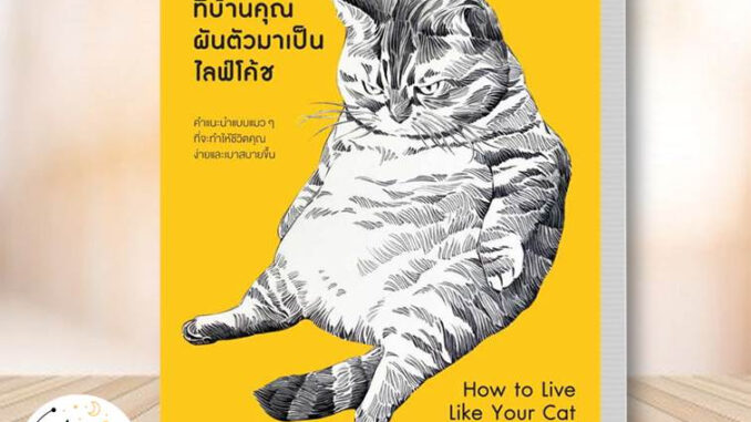 หนังสือ เมื่อแมวที่บ้านคุณผันตัวเองมาเป็นไลฟ์โค้ช ผู้เขียน Stephane Garnier  สำนักพิมพ์ วีเลิร์น (WeLearn) จิตวิทยา