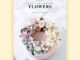 Olli cake's Buttercream Flowers / Korean Book Decoration / Ollimake