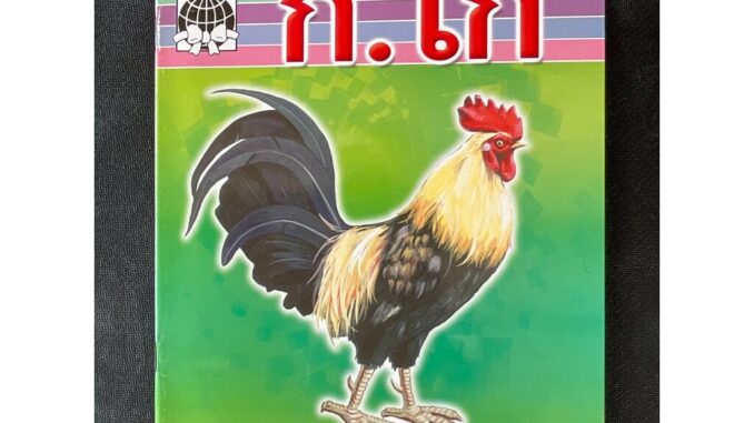 หัดอ่าน ก.ไก่ - คละปก - [หัดอ่าน No.14] - (18.5x26cm ภาพ 4 สี 24 หน้า) สำหรับเด็กหัดอ่านและหัดจำ เริ่มเรียนและเด็กอนุ...