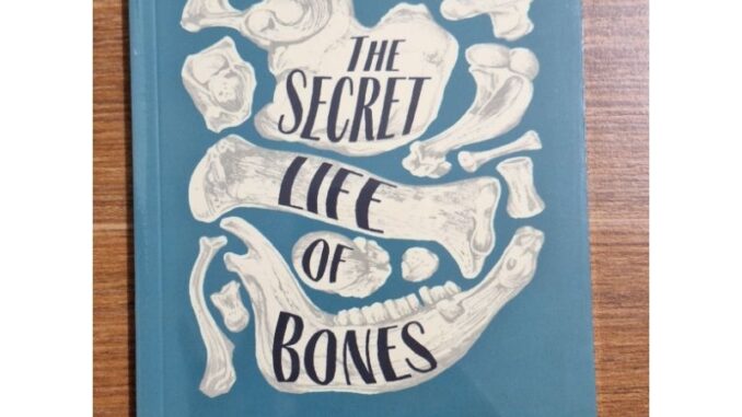 ความลับของกระดูก the Secret Liff of Bones