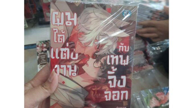 ผมได้แต่งงานกับเทพจิ้งจอก เล่มเดียวจบ การ์ตุนวาย หนังสือการ์ตุนวาย BL มังงะ มือหนึ่ง cn