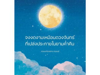 หนังสือ จงงดงามเหมือนดวงจันทร์ที่เปล่งประกายในยามค่ำคืน ผู้เขียน: moonlovers.mood //  Springbooks (Book Factory)