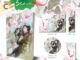 [เล่ม 4 ส่งหลังงานหนังสือ] หนานฉาน​ เล่ม​ 1​-4 (4 เล่มจบ)​