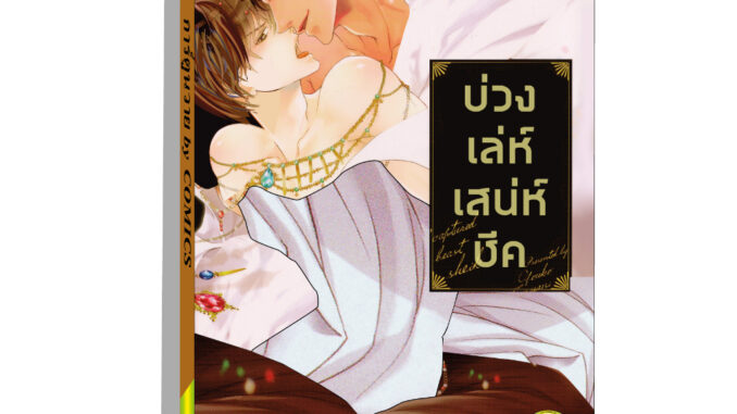 การ์ตูนวาย A5 บ่วงเล่ห์เสน่ห์ชีค