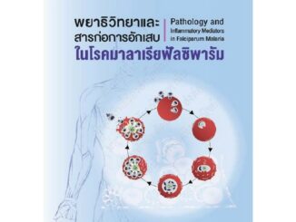 Chulabook(ศูนย์หนังสือจุฬาฯ)|c111|9786164438491|หนังสือ|พยาธิวิทยาและสารก่อการอักเสบในโรคมาลาเรียฟัลซิพารัม