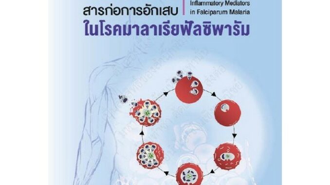 Chulabook(ศูนย์หนังสือจุฬาฯ)|c111|9786164438491|หนังสือ|พยาธิวิทยาและสารก่อการอักเสบในโรคมาลาเรียฟัลซิพารัม