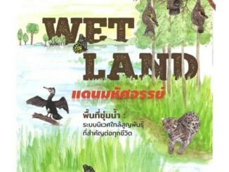 Chulabook(ศูนย์หนังสือจุฬาฯ)|c111|9789747076370|หนังสือ|WET LAND แดนมหัศจรรย์ พื้นที่ชุ่มน้ำ :ระบบนิเวศใกล้สูญพันธุ์ที่ส