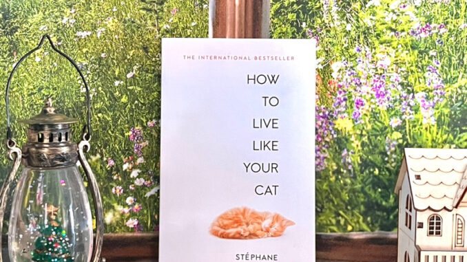 How to live like your cat   ปรัชญาแมวเหมียวฉบับน่ารัก