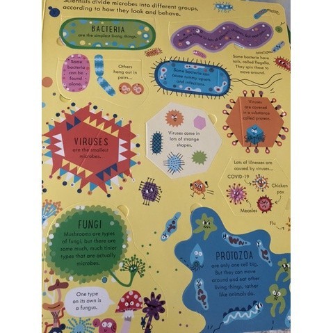 DKTODAY หนังสือ USBORNE SEE INSIDE GERMS (AGE 7+)