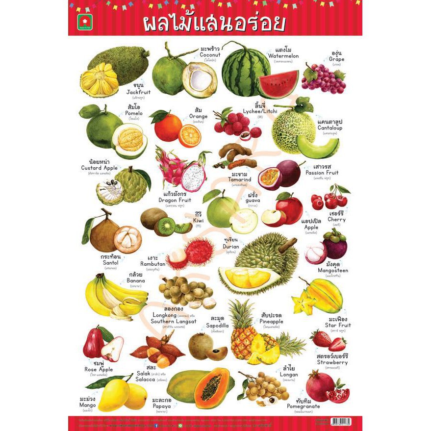 ชุดโปสเตอร์ผัก ผลไม้ สัตว์ 4 แผ่น (อาบเงา)