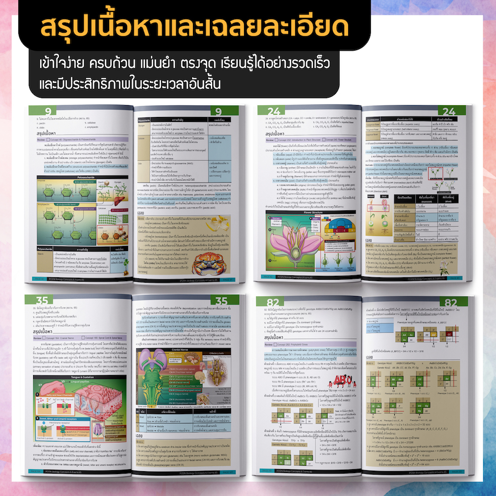 หนังสือ POSN BIOLOGY concept & exams 65 | เทพชัย โชติมณี [รหัส A-078]