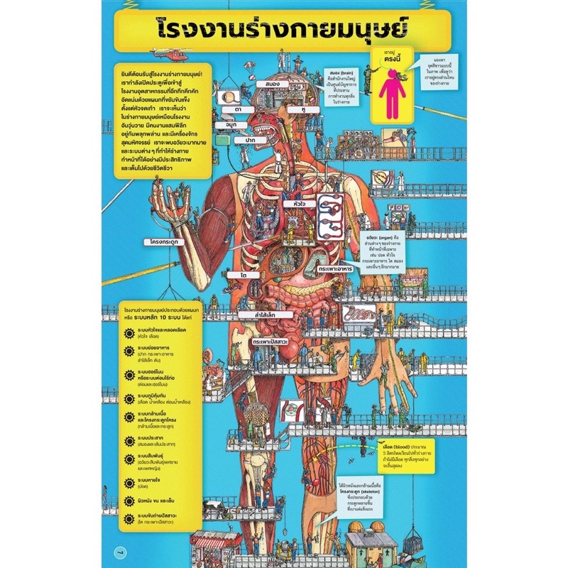 หนังสือเด็ก โรงงานร่างกายมนุษย์