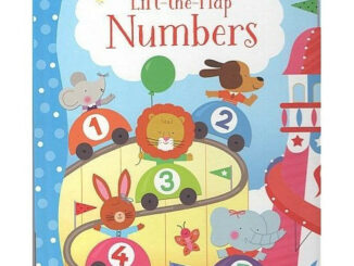 DKTODAY หนังสือ USBORNE LIFT-THE-FLAP NUMBERS (AGE 3+)