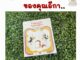 หนังสือเด็ก ร้านขนมปังของคุณอีกา (แถมโมเดลกระดาษสุดน่ารัก)