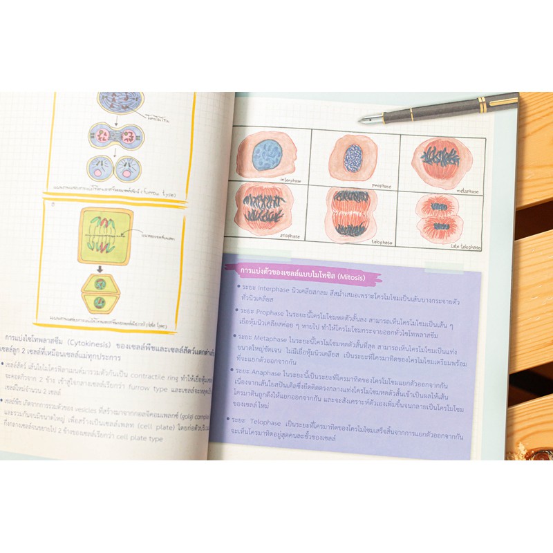 A -หนังสือ Drawing of Biology ภาพจำ ชีววิทยา พิชิตข้อสอบเต็ม 100%