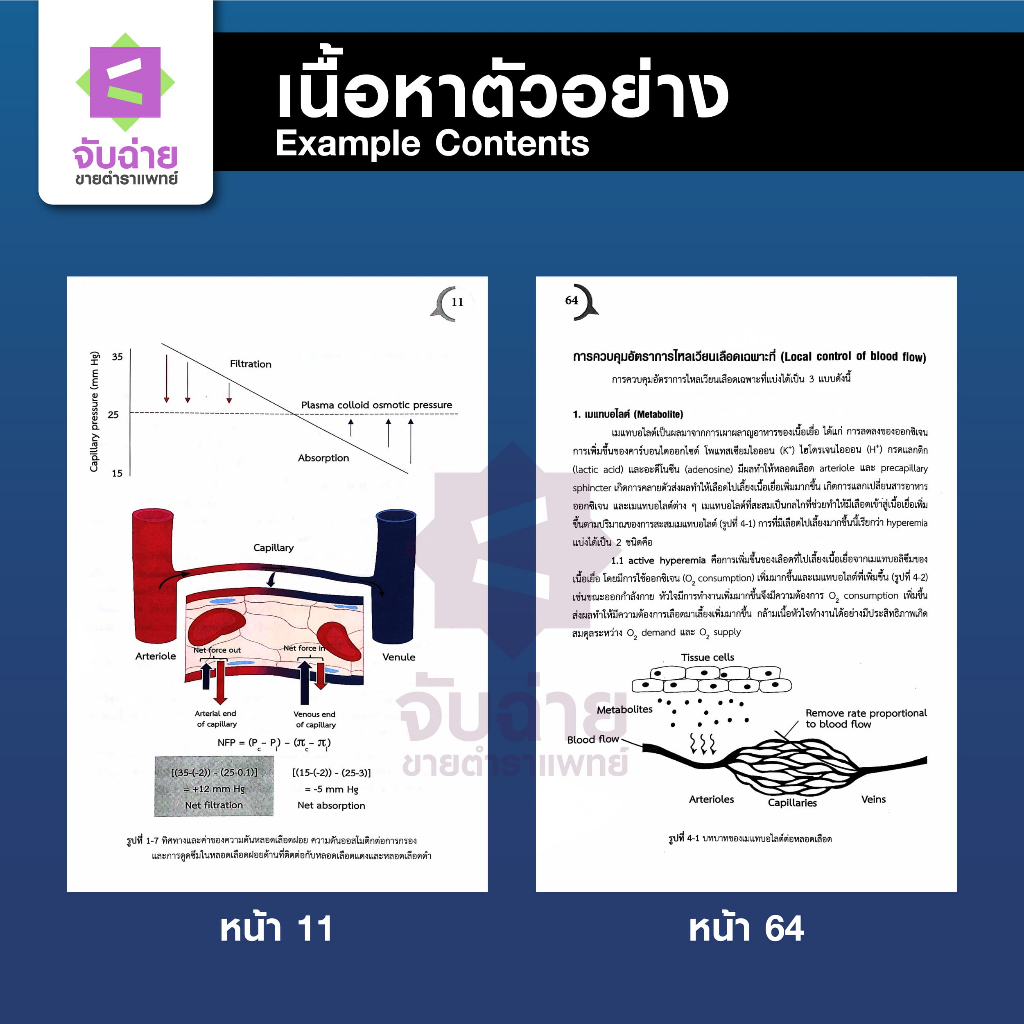 การไหลเวียนเลือดจุลภาค (Microcirculation)