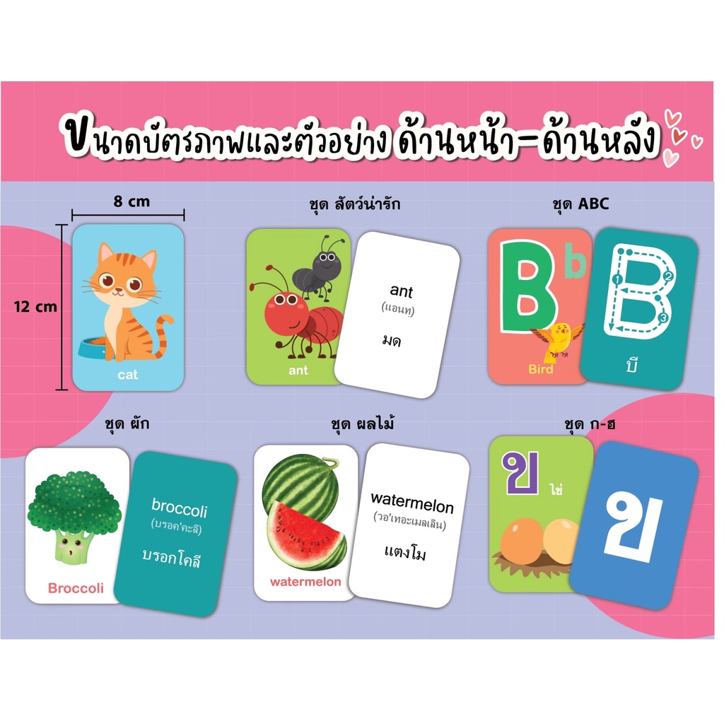 บัตรภาพยกชุด 7 หมวด-สัตว์ ผัก ผลไม้ a-z ก-ฮ ตัวเลข ยานพาหนะ