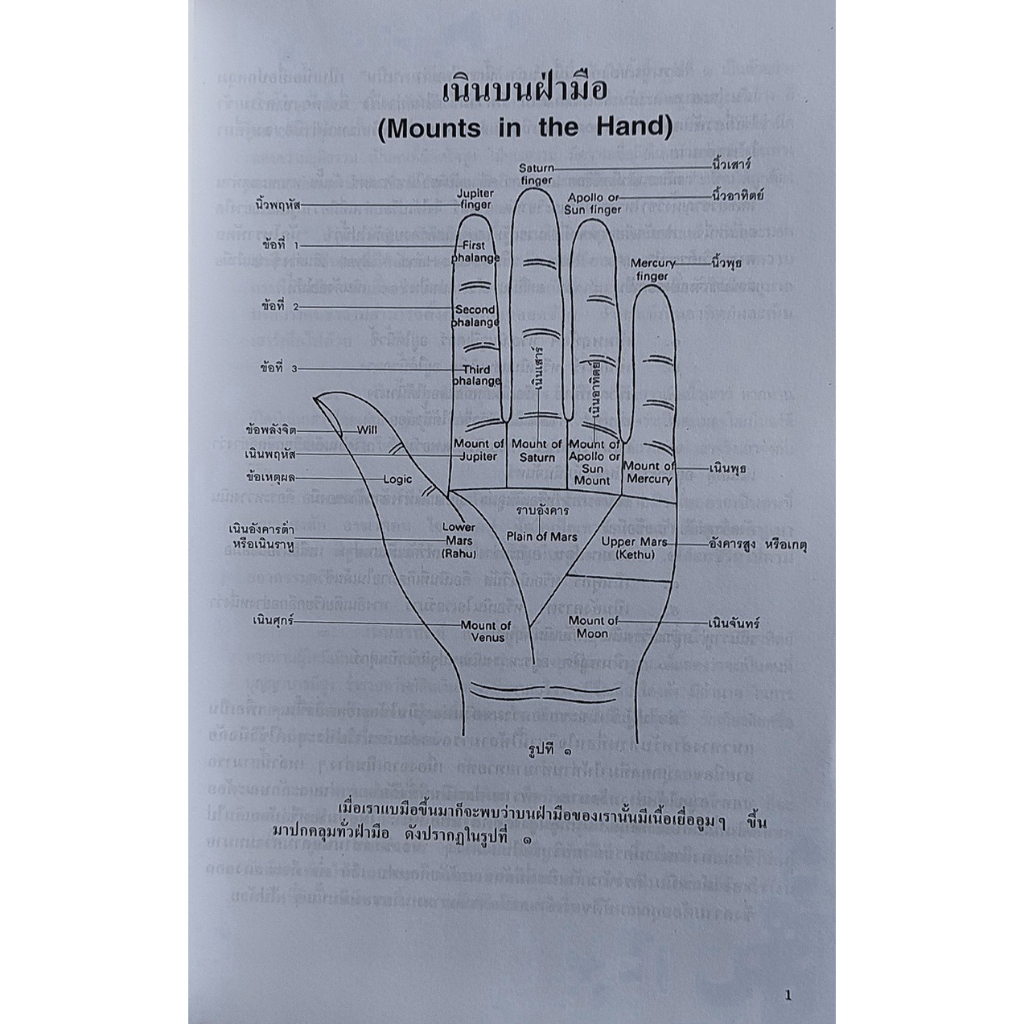 ลายมือ ลายแทงชีวิต The Science of Hand Analysis พร้อมตัวอย่างลายมือกว่า 3,000 ภาพ