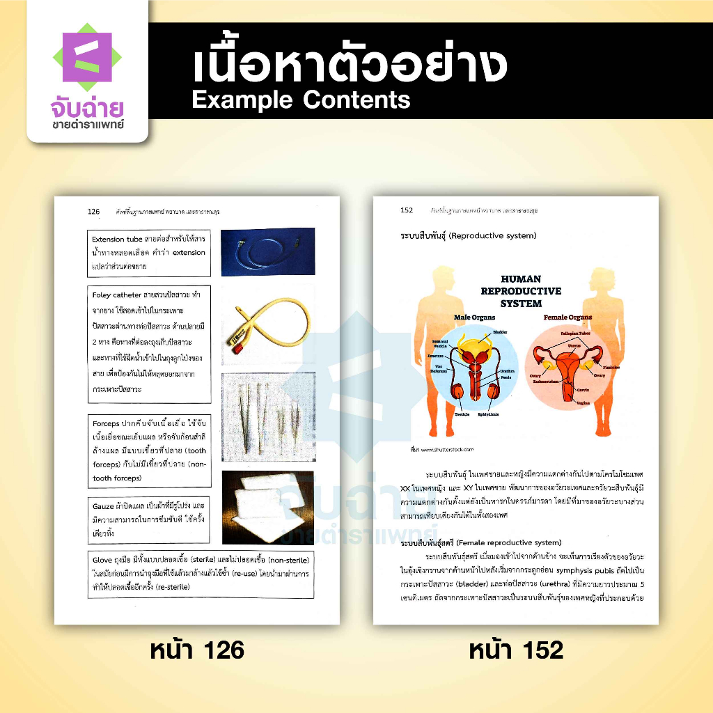 ศัพท์พื้นฐานการแพทย์ พยาบาล และสาธารณสุข