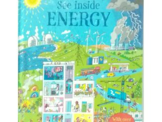 See Inside Energy เหมาะสำหรับ 6 ขวบ+  Board book กระดาษแข็งทุกหน้า with flaps