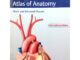 Thieme Atlas of Anatomy: Neck and internal Organs/Author:Michael Schuenke Ed/Year:1/2007 ISBN: 9783131444011