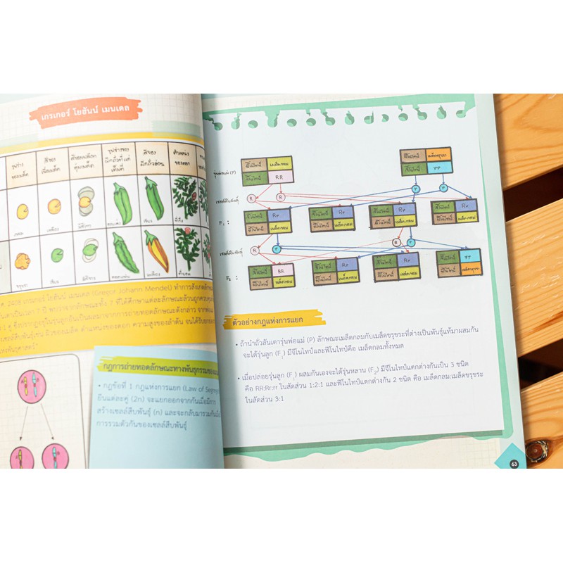 A -หนังสือ Drawing of Biology ภาพจำ ชีววิทยา พิชิตข้อสอบเต็ม 100%