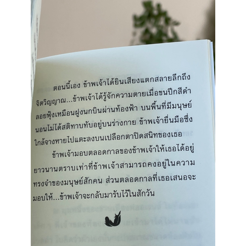 Beau (ฉบับภาษาไทย) (ปกใหม่) - LADYS