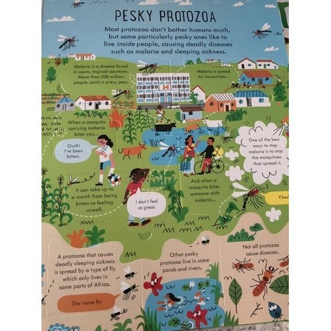 DKTODAY หนังสือ USBORNE SEE INSIDE GERMS (AGE 7+)