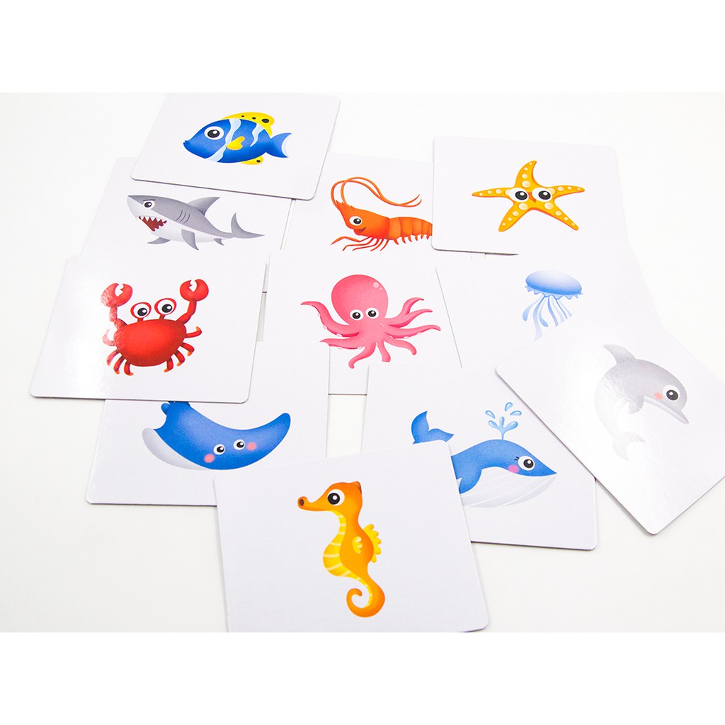 MISBOOK การ์ด Flash Card - Sea Animals